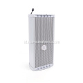 30W Weatherproof Infrared Induksi Speaker